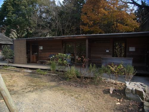【丸亀・栗熊】木の図書室がある森のカフェ、KITOKURAS（キトクラス）